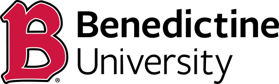PrimaryBLogo 543x165 1