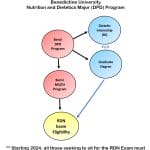 Pathway to RDN Exam