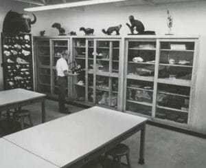 Hilary Jurica's classroom-lab in Ben Hall